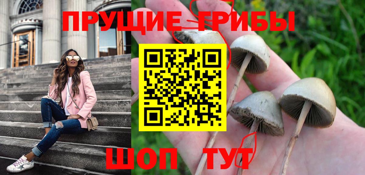 Галлюциногенные грибы GOLDEN TEACHER Реутов