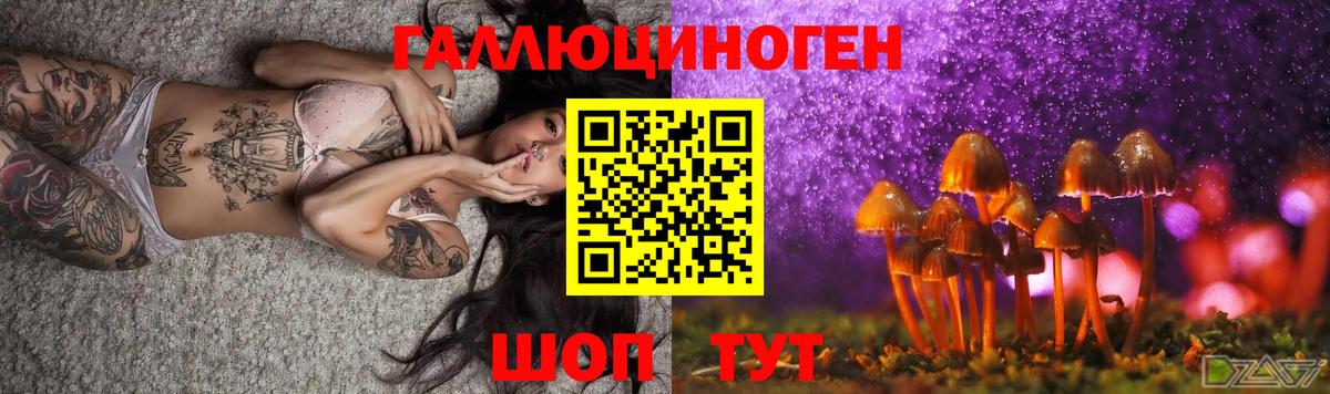 Псилоцибиновые грибы GOLDEN TEACHER  Вход с VPN  Галлюциногенные грибы мицелий  Реутов 